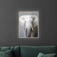 Lesen LED Bilder Bewertungen